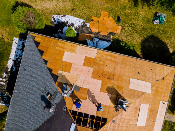 Best Roof Repair Services  in Pollock Pines, CA